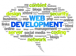 web development1